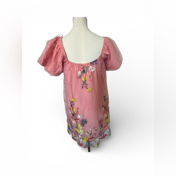 NWT GeeGee Floral Embroidered Mesh Mini Dress - Picture 3 of 6